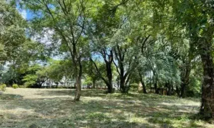 Terreno em condomínio fechado à venda na alameda carlos de carvalho vieira braga, s/n, chácaras alpina, valinhos por r$ 1.280.000
