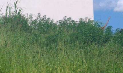 Terreno à venda na Estrada Municipal Fazenda Santana, 27, João XXIII, Vinhedo por R$ 270.000