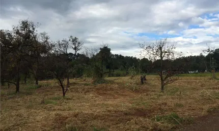 Terreno comercial à venda na Avenida Constante Pavan, 4, Betel, Paulínia por R$ 12.999.999