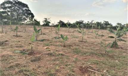 Terreno à venda na Estrada Luiz de Queiroz Guimarães, 19, Reforma Agrária, Valinhos por R$ 1.600.000