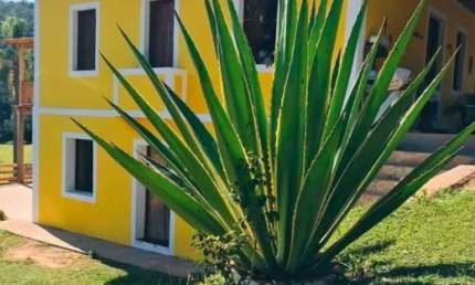 Fazenda a venda em Cunha :  Cachoeira e Pesqueiro na propriedade
