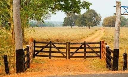 Fazenda à venda no bairro Área Rural de Araguari - Araguari/MG