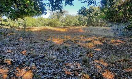 Fazenda à venda na Área Rural de Araguari, Araguari 