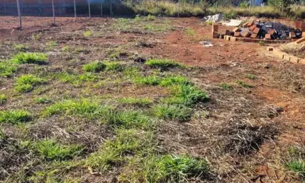 Terreno à venda na Praça Gaioso Neves, Paineiras, Araguari