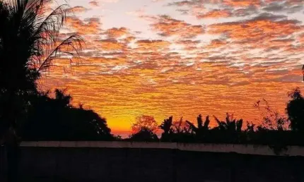 Rancho à venda no bairro Área Rural de Araguari - Araguari/MG