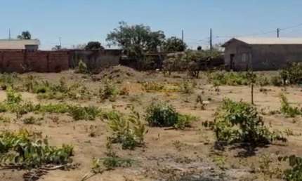 Terreno à venda no Vieno, Araguari 