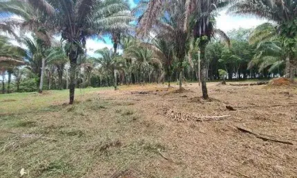 Sítio para venda, bairro zona rural,  15 hectares rica em água