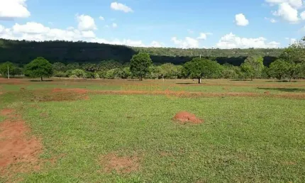 Fazenda à venda na Área Rural de Araguari, Araguari 