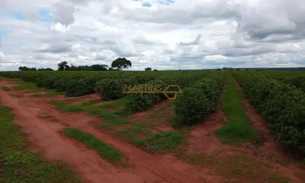 Fazenda à venda na Área Rural de Araguari, Araguari 