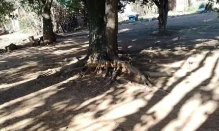 Terreno à venda no Bosque, Araguari 