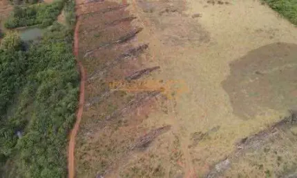 Sítio à venda no bairro Área Rural de Araguari - Araguari/MG