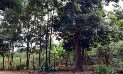 Chácara à venda no bairro Zona Rural - Indianópolis/MG