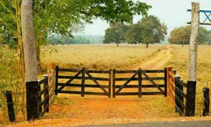 Fazenda à venda na Área Rural de Araguari, Araguari 