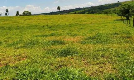 Fazenda à venda na Área Rural de Araguari, Araguari 