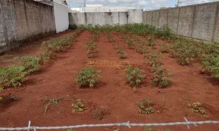 Terreno à venda no bairro Jardim Botanico - Araguari/MG