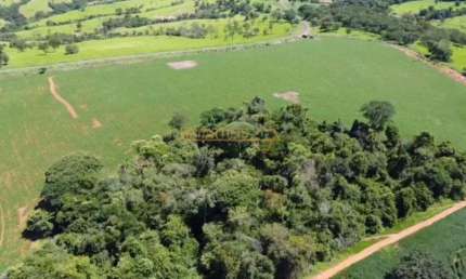 Fazenda à venda na Rua Antônio Lemos da Silva, Centro, Araguari