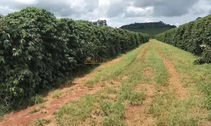 Casa comercial à venda na Rua Antônio Lemos da Silva, Centro, Araguari
