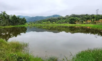 Terreno à venda na Vila Nova, Joinville  por R$ 7.755.000