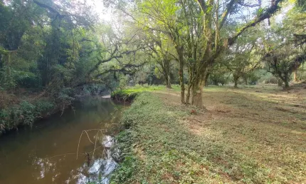 Chácara / sítio com 3 quartos à venda em São Miguel, Campo Alegre , 150 m2 por R$ 4.600.000
