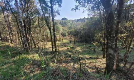 Terreno à venda na Zona Rural, Campo Alegre  por R$ 610.000