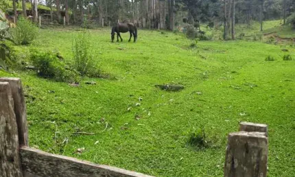 Chácara / sítio à venda em São Miguel, Campo Alegre  por R$ 2.200.000