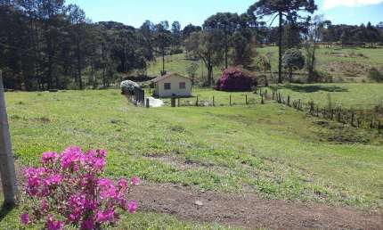Chácara / sítio com 2 quartos à venda em São Miguel, Campo Alegre , 50 m2 por R$ 420.000