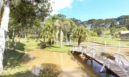 Chácara / sítio com 3 quartos à venda na Avenquinha, Campo Alegre , 418 m2 por R$ 2.800.000
