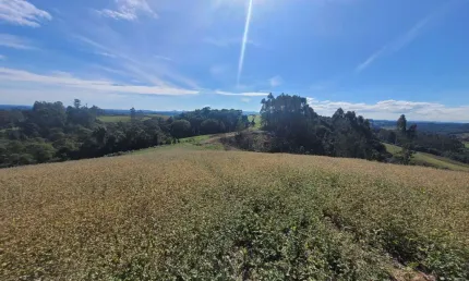 Terreno à venda no bateias de cima, campo alegre  por r$ 910.000