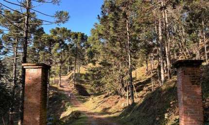 Terreno à venda em São Miguel, Campo Alegre  por R$ 700.000