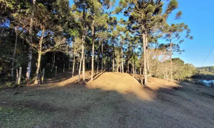 Terreno à venda no lageado, campo alegre , 200 m2 por r$ 950.000