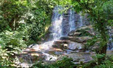 Chácara / sítio à venda na Estrada Velha Do Rio, S/N, Japuíba, Cachoeiras de Macacu