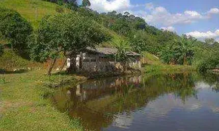 Sítio para Venda em Cachoeiras de Macacu, Vecchi, 3 dormitórios, 1 banheiro, 1 vaga