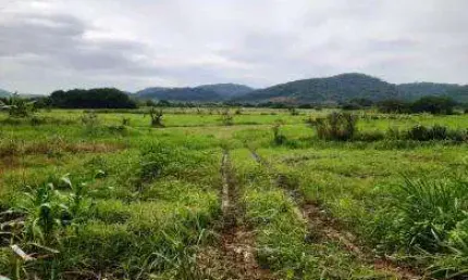 Sítio para Venda em Cachoeiras de Macacu, Cachoeira da Quizanga, 2 dormitórios, 1 banheiro, 1 vaga