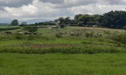 Sítio para Venda em Itaboraí, Itapacorá, 2 dormitórios, 1 banheiro, 1 vaga