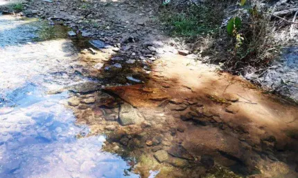 Sítio para Venda em Cachoeiras de Macacu, Agro Brasil, 2 dormitórios, 1 banheiro, 1 vaga