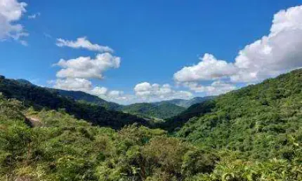 Fazenda para Venda em Cachoeiras de Macacu, Japuíba