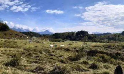 Fazenda para Venda em Cachoeiras de Macacu, Vecchi, 3 dormitórios, 2 banheiros, 1 vaga