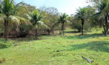 Sítio para Venda em Itaboraí, Cabuçu, 2 dormitórios, 1 banheiro, 1 vaga