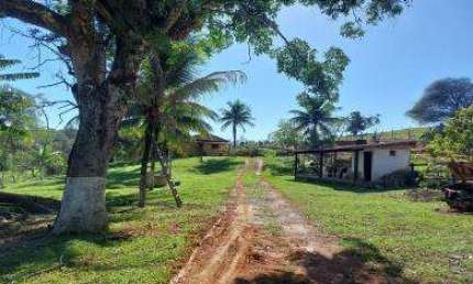 Sítio para Venda em Cachoeiras de Macacu, Japuíba, 2 dormitórios, 1 banheiro, 1 vaga