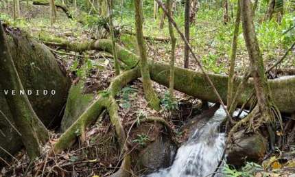 Terreno para Venda em Cachoeiras de Macacu, Guapiaçu