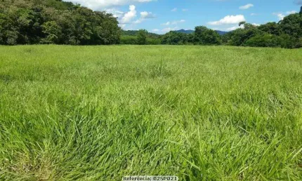 Sítio para Venda em Cachoeiras de Macacu, Papucaia, 3 dormitórios, 1 suíte, 2 banheiros, 4 vagas