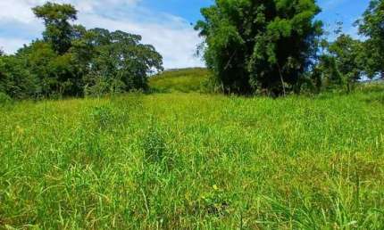 Sítio para Venda em Rio Bonito, Braçanã, 2 dormitórios, 1 banheiro, 1 vaga