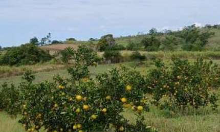 Sítio para Venda em Araruama, São Vicente de Paula, 3 dormitórios, 1 banheiro