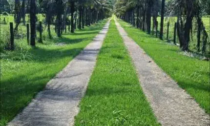 Fazenda para venda em silva jardim, boqueirão, 5 dormitórios, 2 banheiros, 2 vagas