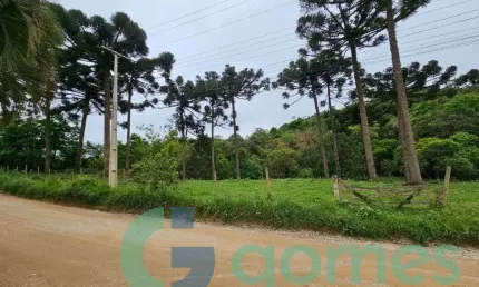 Terreno à venda, 9767 m² por R$ 500.000,00 - Colônia Antônio Prado - Almirante Tamandaré/PR