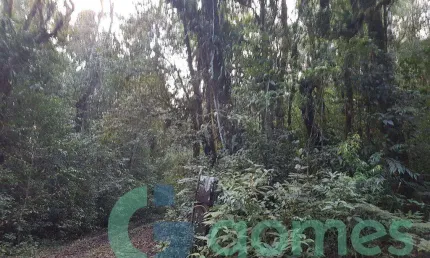 Terreno à venda, 27285 m² por r$ 380.000,00 - borda do campo - são josé dos pinhais/pr