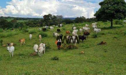 Fazenda à venda, 968000 m² por R$ 5.300.000,00 - Zona Rural Hidrolandia - Hidrolândia/GO
