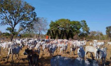 Fazenda à venda, 11567600 m² por R$ 20.315.000,00 - Zona Rural - Lagoa do Tocantins/TO