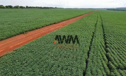 Fazenda à venda, 7066400 m² por R$ 24.000.000,00 - Centro - Paraíso do Tocantins/TO