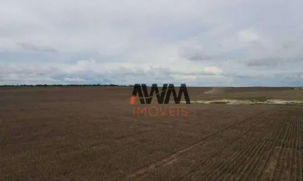 Fazenda à venda, 19989200 m² por R$ 35.000.000,00 - Zona Rural - Brejinho de Nazaré/TO